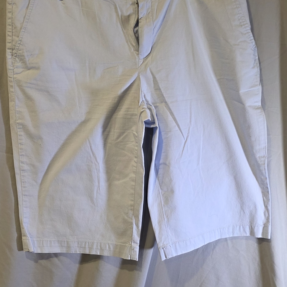 Liz Claiborne Sky Blue Shorts